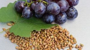 Grapes and grape seeds on the table